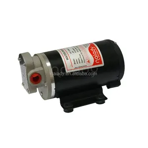 Naiady 12LPM/3.2GPM 12V مضخة زيت كهربية استنزاف فرق برودة توربو كنس والعتاد الجافة مستنقع مضخة