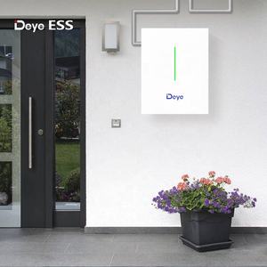 Deye ESS RW-F10.2 güneş enerjisi sistemi UN sertifikası ile ev depolama pil için - Product Image 5