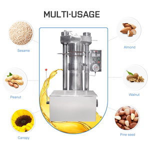 Máquina de extracción de aceite de equipo de prensa de aceite de sésamo de maní de oliva - Product Image 1
