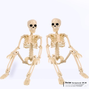 Nouvelles décorations de squelette humain en PVC non toxique de 40 cm pour Halloween, accessoires de maison hantée, modèle de jouet, fournitures de fête - Product Image 6