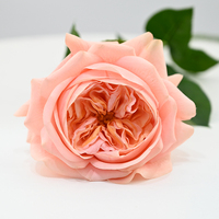 Fleur artificielle au toucher réel, rose Juliet longue durée, pour la maison, l'hôtel, la table à manger, cadeau pour Noël, la remise des diplômes