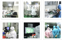 Modul kamera dukungan kustomisasi ESP32 GC2145 OV5640 OV2640 MI2010 NT9914 OV5645 GC0308 OV7725 OV7740 BF3005 OV8865 OV10633