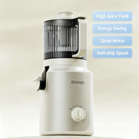 Elektrische slow cold press DC-motor zware kwaliteit sapcentrifuge multifunctionele smoothie maker 2.5L zelfreinigend voor camper, hotel en huishoudelijk gebruik