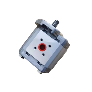 Pompe à engrenages hydraulique 1802023 WP09A1B160R03BA121N Pompe à engrenages hydraulique WP09A1V1 WP09A1V2 WP09A2B0 WP09A4B1 Série - Product Image 3