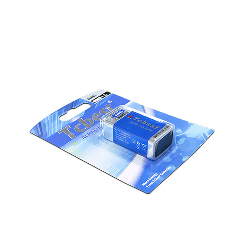 raymax alkaline battery