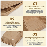 Boîte à lunch personnalisée en balle de riz naturelle, compatible micro-ondes, sans PFAS, biodégradable, jetable, avec couvercle, pour usage culinaire