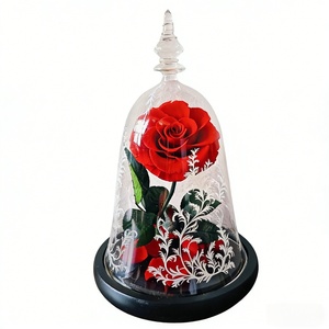 <span class=keywords><strong>Cloche</strong></span> en verre 18x30cm avec <span class=keywords><strong>rose</strong></span> éternelle gravée sous <span class=keywords><strong>cloche</strong></span> <span class=keywords><strong>et</strong></span> base noire, <span class=keywords><strong>rose</strong></span> rouge, cadeau pour <span class=keywords><strong>la</strong></span> Saint-Valentin, Noël - Product Image 1