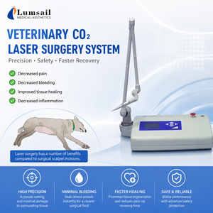 Macchina Laser CO2 per Chirurgia Veterinaria, Strumento Chirurgico per Piccoli Animali, Macchina Laser per Taglio Chirurgico - Product Image 1