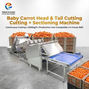 Máquina Cortadora y Segmentadora de Cabezas y Colas de Zanahoria de 1000 kg/h, Línea de Procesamiento de Zanahorias Personalizada - Product Image 1