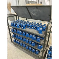 Vanne à soupape en fonte à extrémité filetée de type angle, 1 pouce, 2 pouces, DN25, DN50, PN16, à volant manuel, pour système d'alimentation en eau