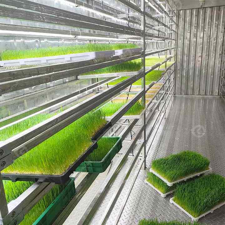 Automatic Custom Foraging Systems Reference: Fully Automatic Farm System For Hydroponic Forage Mushroom Fodder Growing