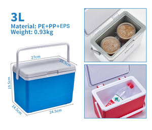 Mini caja enfriadora de 3L, regalo corporativo, personalización, los fabricantes ofrecen promociones, caja enfriadora de hielo para acampar al aire libre, cofre de cerveza - Product Image 5