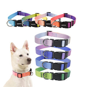 puka shell dog collar