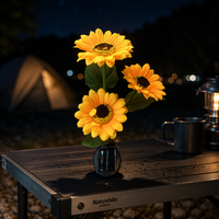 Lampes solaires modernes pour l'extérieur, lampes à fleurs pour cour, décor de balcon et de jardin, éclairage paysager, piquets lumineux d'ambiance