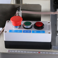 Machine à coudre professionnelle, industriel, avec boucles, pour soutien-gorge et culotte
