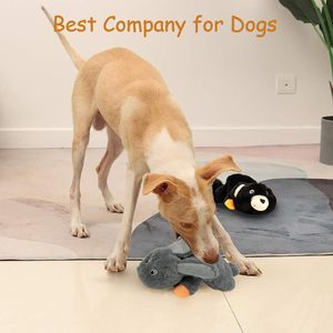<span class=keywords><strong>Pet</strong></span> malzemeleri Amazon sıcak satış <span class=keywords><strong>Pet</strong></span> çiğnemek oyuncaklar paketi dayanıklı dolması peluş köpek çiğneme oyuncaklar Amazon yeni peluş oyuncaklar köpekler için