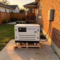10kW 15kW 20kW 30kW Erdgas-Generator LPG-Generator Sparsame Benzin-Generatoren mit ATS für Landwirtschaftliche Nutzung