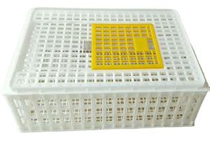 <span class=keywords><strong>Cage</strong></span> de <span class=keywords><strong>transport</strong></span> de poulet en plastique de 75*55*27cm pour oiseaux adultes - Product Image 4