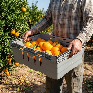 Caja <span class=keywords><strong>de</strong></span> Plástico Perforada para Vegetales con Asa <span class=keywords><strong>de</strong></span> Agarre, Compra al por Mayor |   Caja <span class=keywords><strong>de</strong></span> Frutas Apilable y Encajable para Uso en Supermercados - Product Image 1