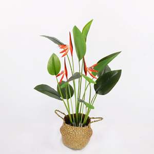 Pájaro Artificial Paradise <span class=keywords><strong>Canna</strong></span> Planta de paisaje verde interior para Halloween Día de San Valentín Pascua Ventana de Año Nuevo en maceta - Product Image 4