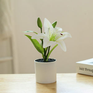 Pot de fleurs en plastique blanc de haute qualité, petit pot, fleur artificielle en soie, lys <span class=keywords><strong>cala</strong></span> oriental, fausse plante, fausse fleur pour la remise des diplômes - Product Image 4