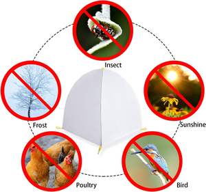 Зимняя складная теплица DECOHS для защиты растений от снега и мороза, для фруктовых деревьев и растений в горшках, предотвращает замерзание и повреждения животными - Product Image 4