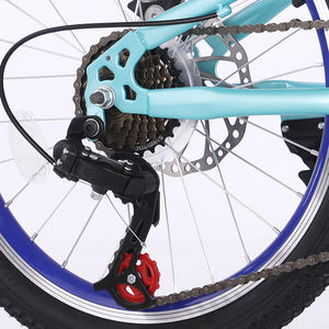 Vélo de montagne personnalisé de 20 pouces avec 21 vitesses, système de frein à disque, matériau en acier au carbone, vente en gros - Product Image 5