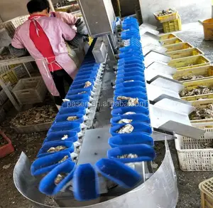 Stainless steel fish shrimp sorter machine seafood weight sorting machine chicken feet weight sorting machine