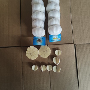 กระเทียมเดี่ยวสีขาวบริสุทธิ์สด6.0ซม. สำหรับอาหารราคาดีที่สุดในจีน - Product Image 3
