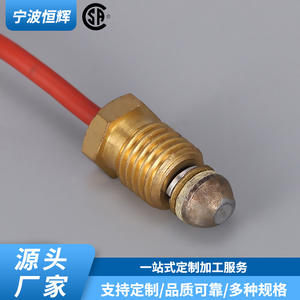 Componente de Termopila con Sensor de Temperatura Integrado de Acero Inoxidable 14D0477 para Calentador de Chimenea de Gas Ningbo Henghui - Product Image 4