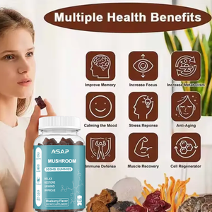 OEM hongo complejo gomoso Nootropic cerebro suplementos orgánico Super hongo gomitas - Product Image 2
