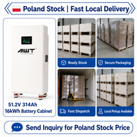 Paket Baterai Lifepo4 Hungary 51.2V 314ah 300Ah 314Ah 320Ah 16kwh Baterai Lithium Ion Prismatik Penyimpanan Tenaga Surya Stok EU