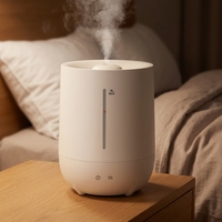 Humidificateur silencieux à prise CC de grande capacité 4L, idéal pour les chambres, les salons et les hôtels
