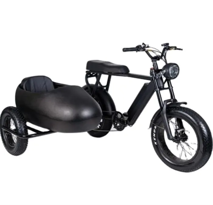 SoverSky परिवार वितरण ई-बाइक पक्ष बाल्टी के साथ 48v 750w बिजली tricycle