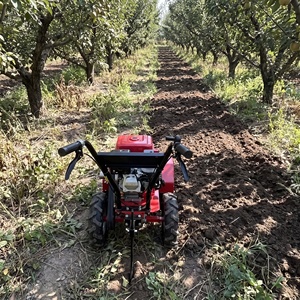 Motoculteur à essence 7HP à deux roues motrices avec engrenage, cultivateur multifonctionnel autopropulsé pour <span class=keywords><strong>le</strong></span> labourage et <span class=keywords><strong>le</strong></span> désherbage - Product Image 3