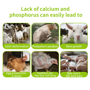 Phụ gia khoáng sản đa loài ISO9001 được chứng nhận tăng adg trong gia súc chăn nuôi - Product Image 6