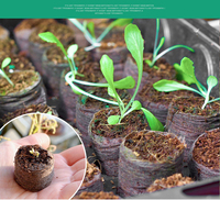 Échantillon Gratuit : Disques de Fibre de Coco de 3 cm, Pellets de Tourbe de Coco pour Plantation, Blocs de Cocopeat de Haute Qualité