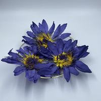 Fleur de lotus bleue séchée en vrac, extrait d'herbes naturelles de Nymphaea Caerulea, Lan Lian Hua