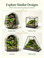 Mousse stabilisée décorative intemporelle, mousse préservée pour terrarium, jardin magique, idéal pour la décoration de bureau et de maison