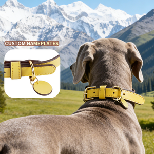 Collar de Perro de Cuero PU de Lujo, Forro Acolchado Ancho y Suave, Hebilla Ajustable, Placa de Identificación Grabada Personalizada, Venta al por Mayor - Product Image 4