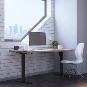 ZGO ऑफिस फर्नीचर इलेक्ट्रॉनिक एडजस्टेबल ऊंचाई टेबल ऑफिस डेस्क वर्क ऑफिस डेस्क प्रोफेशनल एडजस्टेबल स्टील मॉडर्न मेटल