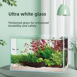 Acquario da Scrivania in Vetro Super Bianco, <span class=keywords><strong>Habitat</strong></span> per <span class=keywords><strong>Tartarughe</strong></span>, Piccolo Acquario Ecologico per Piante Acquatiche - Product Image 3