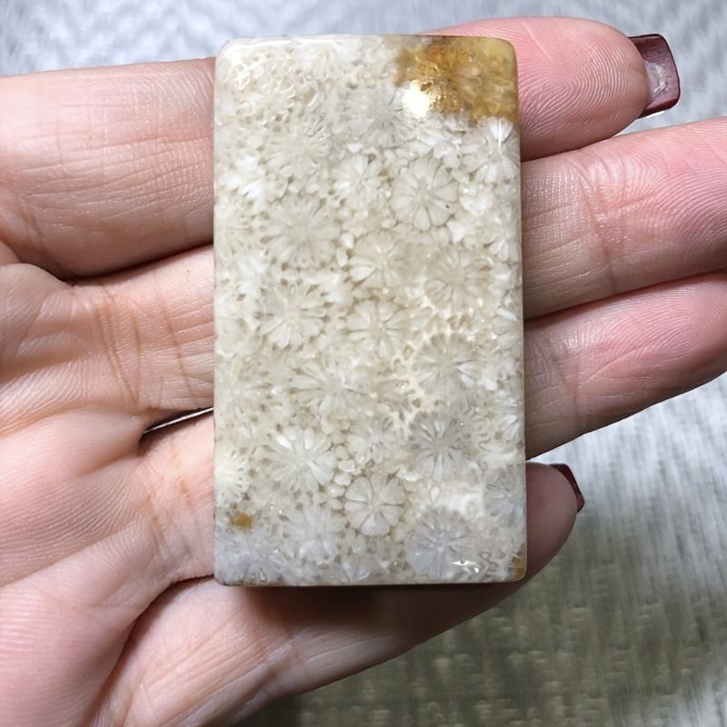 Coral Stone