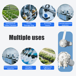 LEFOO, быстрая разборка, 12 В/24 В, двигатель постоянного тока, дозирование пищевых напитков, небольшой перистальтический насос, Заводские производители - Product Image 6