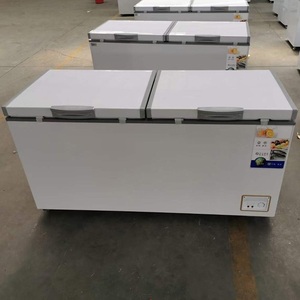 Congélateur coffre solaire à économie d'énergie, double porte, congélateur coffre solaire à énergie solaire, <span class=keywords><strong>armoire</strong></span> de stockage frigorifique pour fruits et légumes - Product Image 6