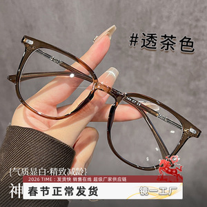 Montures de lunettes Danyang 8009 ovales, monture intégrale, protection anti-lumière bleue, TR90, unisexe, verres en acétate - Product Image 3