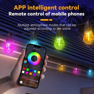Guirnalda RGB S14 para exteriores, Blanco cálido, resistente al agua, árbol de Navidad, luz decorativa de hadas, globo Mini LED, lámpara de cadena de bolas - Product Image 3