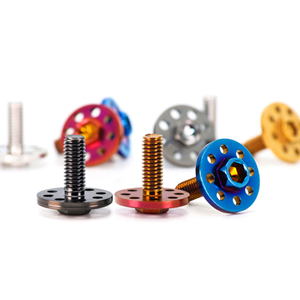 Vis de plaque d'immatriculation de <span class=keywords><strong>moto</strong></span> en acier inoxydable 304 M6 PVD, vis à tête plate hexagonale, vis décorative à trou percé, fixation - Product Image 2