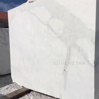 Newstar Newyork Blanc Marbre Naturel Marbre Blanc Panneau De Terrasse Escalier Stepping Marbre Ardoise Dalle