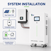 Batería de Litio-Ferrofosfato (LiFePO4) de 51.2V 280Ah 14.336kWh para Almacenamiento de Energía Solar Residencial, Montaje en Pared, Conexión Paralela Escalable para el Hogar